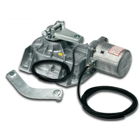 Motorreductor Para Puertas Batientes 230v CAME FROG 001FROG-AE FROG-AE