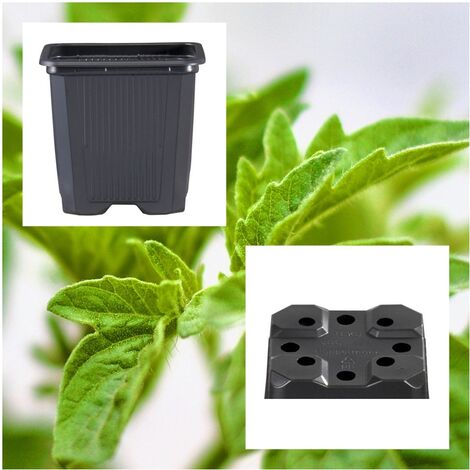 100 Macetas Semillero Cuadrada de Pl�stico para Cultivo. 11X11X12 Cm (1 L)