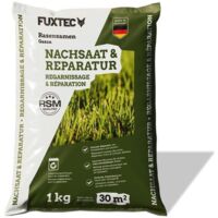 FUXTEC Rasensamen Nachsaat FX-RSNR1, 1kg für 30m², schnellkeimende Grasmischung, Rasenreparatur Frühjahr bis Herbst, Made in Germany