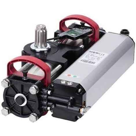 Unterirdischer Motorantrieb für Drehtore 230 V FAAC S800 ENC SBW 100° 108802