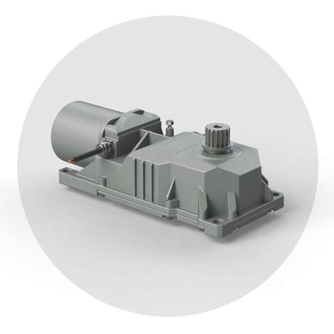 Attuatore Motore 230v Per Cancelli a Battente Interrato GENIUS ROLLER 6170077 FAAC 770 220V (1/3)