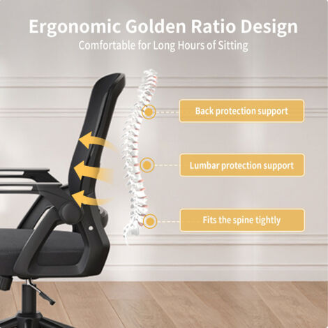 Office Chair Ergonomic - Naspaluro Desk Chair with Lumbar Support - Computer Swivel Office Chair - Adjustable Rocking Function 90-105° - Height Adjustable - Black
