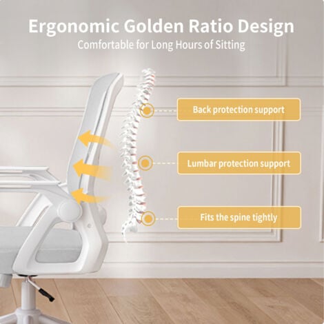 Office Desk Chair Ergonomic with 90° Flip-up Armrest Lumbar Support - bigzzia Computer Chair Height Adjustable - Swivel Office Chair Adjustable Rocking Function 90-105°- Grey