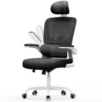 Office Desk Chair - bigzzia high back Mesh Office Chair with Flip-Up Armrest - Computer Chair with Back Support and Headrest - White