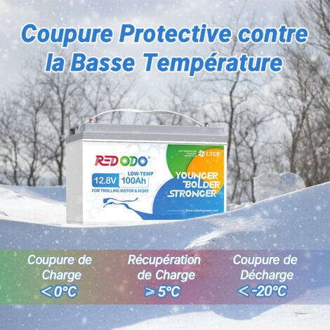 Redodo Batterie Lithium 12V100Ah Rechargeable LiFePO4, protection d'arrêt à basse température, BMS 100A Intégré, Bateaux, Camping-Cars, caravane, systèmes solaires, Hors-Réseau