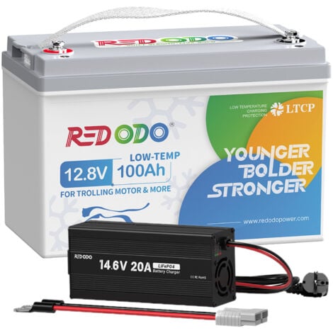 Batterie Lithium 12V100Ah Rechargeable LiFePO4, protection d'arrêt à basse température+14,6V20A Chargeur de batterie LiFePO4 pour batterie lithium 12V Redodo