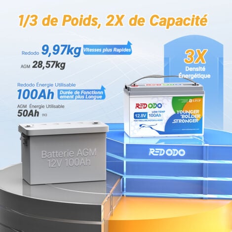 Batterie Lithium 12V100Ah Rechargeable LiFePO4, protection d'arrêt à basse température+14,6V20A Chargeur de batterie LiFePO4 pour batterie lithium 12V Redodo