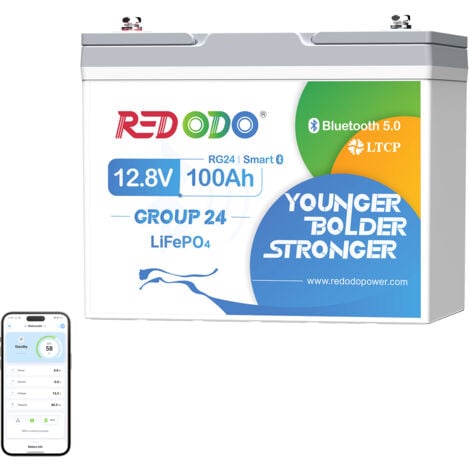 Redodo Batterie au Lithium 12V100Ah Groupe 24 rechargeable LiFePO4, Bluetooth et protection d'arrêt à basse température, protection BMS 100A, pour systèmes solaires,caravane,bateaux,camping-car