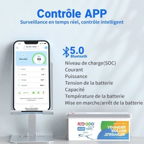Batterie Lithium 24V100Ah rechargeable LiFePO4(Bluetooth+Protection à basse température)+29,2V20A Chargeur de batterie LiFePO4 pour batterie lithium 24V Redodo
