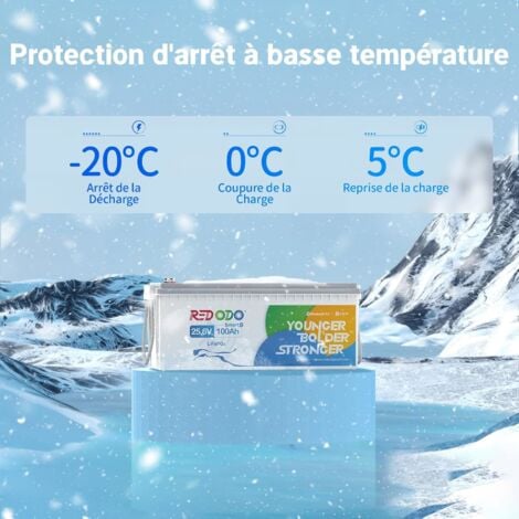 Batterie Lithium 24V100Ah rechargeable LiFePO4(Bluetooth+Protection à basse température)+29,2V20A Chargeur de batterie LiFePO4 pour batterie lithium 24V Redodo