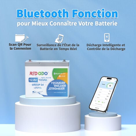 Batterie au Lithium 12V100Ah Groupe 24 rechargeable LiFePO4(Bluetooth+protection d'arrêt à basse température)+14,6V20A Chargeur de batterie LiFePO4 pour batterie lithium 12V Redodo