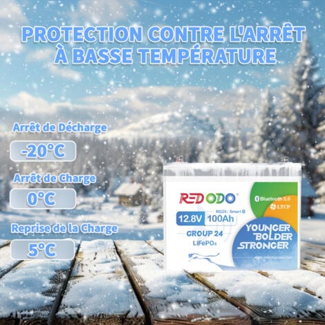 Batterie au Lithium 12V100Ah Groupe 24 rechargeable LiFePO4(Bluetooth+protection d'arrêt à basse température)+14,6V20A Chargeur de batterie LiFePO4 pour batterie lithium 12V Redodo