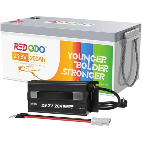 Batterie lithium 24V200Ah rechargeable LiFePO4+29,2V20A Chargeur de batterie LiFePO4 pour batterie lithium 24V Redodo