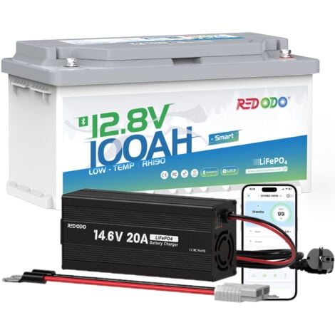 Redodo 12V100Ah Bluetooth Sous-siège Batterie Lithium H188 mm+14,6V20A Chargeur de batterie LiFePO4 12V