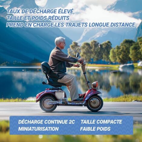 Redodo Batterie au Lithium 24V25Ah rechargeable LiFePO4, BMS 50A, Taux de Décharge 2C, 1280W, pour d'électricité pour les Outils électriques, Fauteuils roulants électriques, Scooters de mobilité