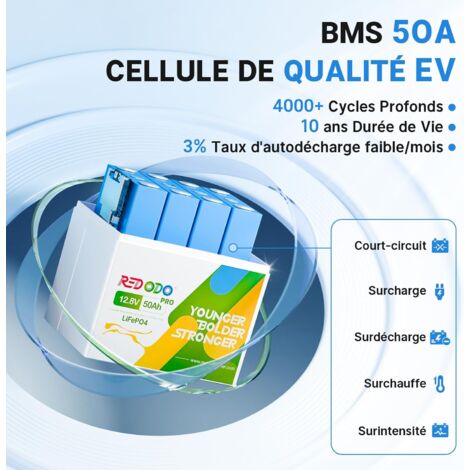 Redodo Batterie au Lithium 12V 50Ah Portable rechargeable LiFePO4, BMS protégées, 4000-8000+ cycles, durée de vie de 10 ans, pour systèmes solaires, bateaux, kits de panneaux solaires, caravanes