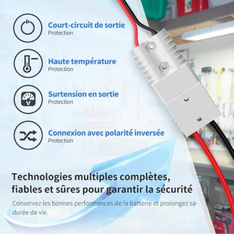 Redodo Chargeur de batterie 14,6V 20A LiFePO4 pour batterie lithium-fer phosphate supporte une charge rapide, conçu pour charger la batterie LiFePO4 à cycle profond