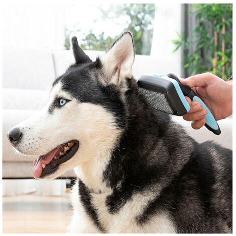 Brosse pour animaux de compagnie avec pointes rétractables