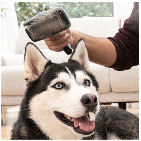 Brosse pour animaux de compagnie avec pointes rétractables