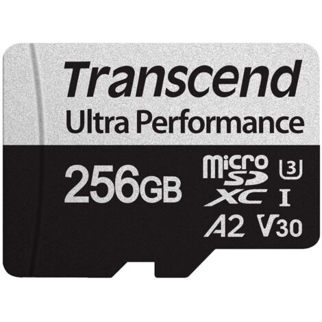 Microsdxc 340s 256 go u3 a2 v30 r160w125 (1/4)