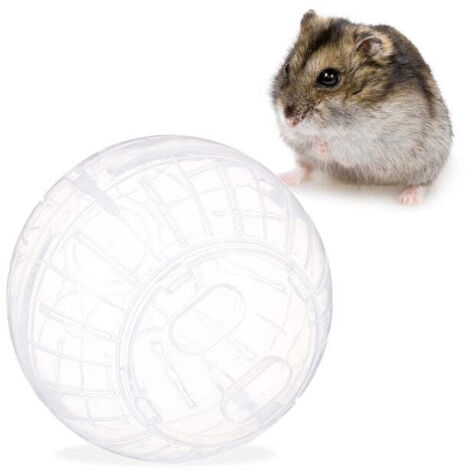 Boule de hamster transparente (1/5)