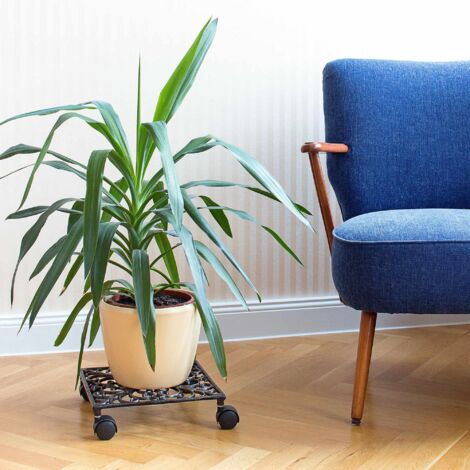 Rouleau à Plantes En Bois Massif Rond 30 Cm - Charge Jusqu'à 120 Kg Avec 4 Roulettes Pivotantes