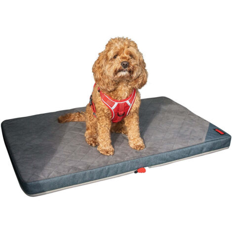Tapis de voyage chien - STRADA