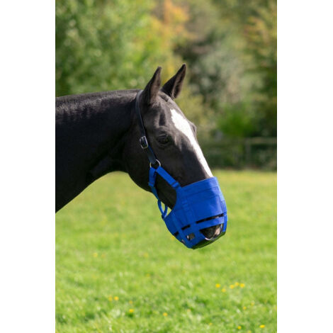 Instructions de montage de la muselière de pâturage Greenguard - GG Equine