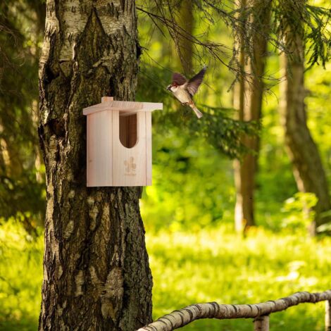 Nichoir Gitano En Bois Naturel Pour Oiseaux – 15x11x16 Cm – Idéal Mésange Bleue, Tarin & Troglodyte
