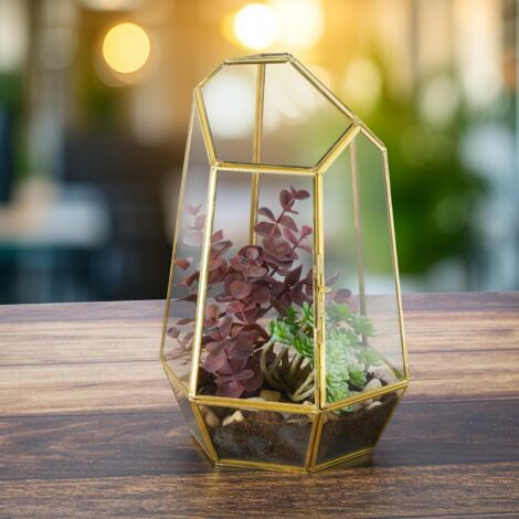 Boîte Verre Plantes Succulentes Terrarium Géométrique Homtone 23cm - Forme Maison Noire - Verre Fait Main - Pour Plantes Grasses Et Cactus - Décoration Vintage Terrarium Verre Cuivre Couvercle Basculant