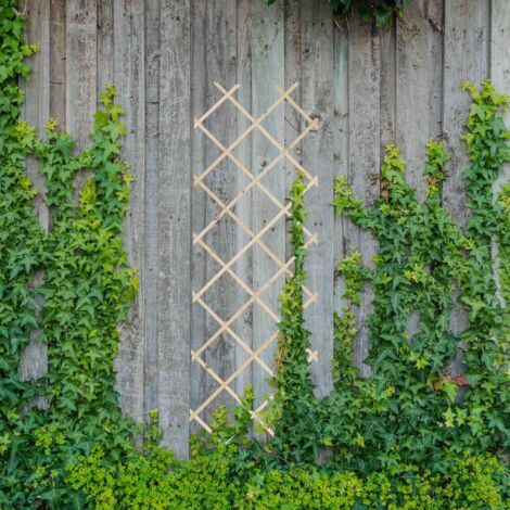 MD MUZ Lot 3 Treillis Jardin Extensibles Bois Gris – 180 X 30 Cm – Support Plantes Grimpantes, Séparation Parterres, Protection Légumes