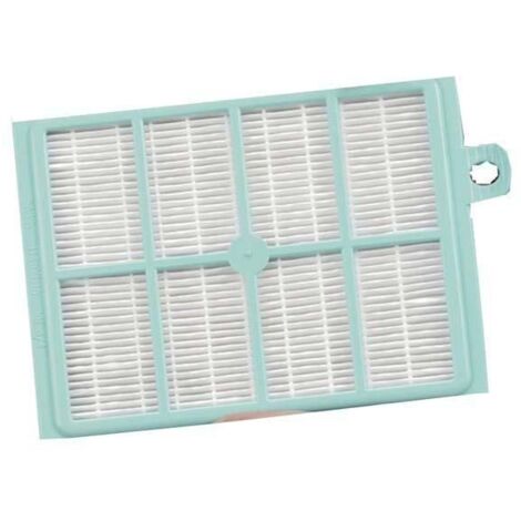 Filtre HEPA lavable pour aspirateurs Electrolux/Philips (1/5)
