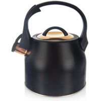 Black whistling kettle in stainless steel for induction hobs