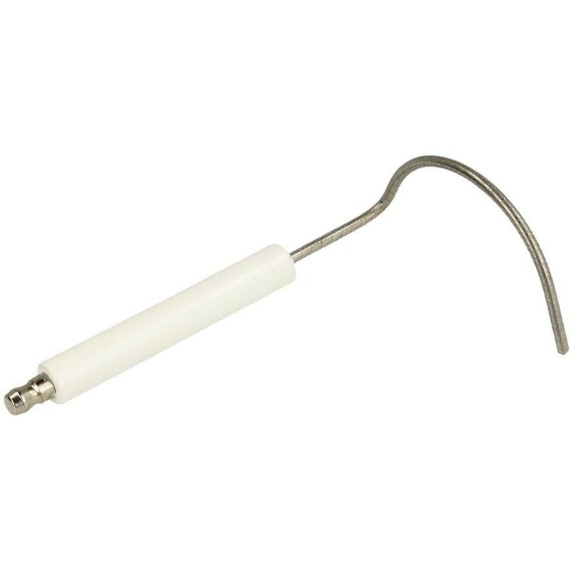 Elektrode d'ionisation