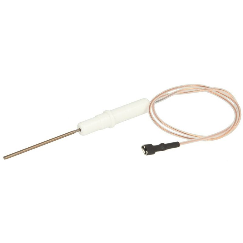 Elektrode d'ionisation