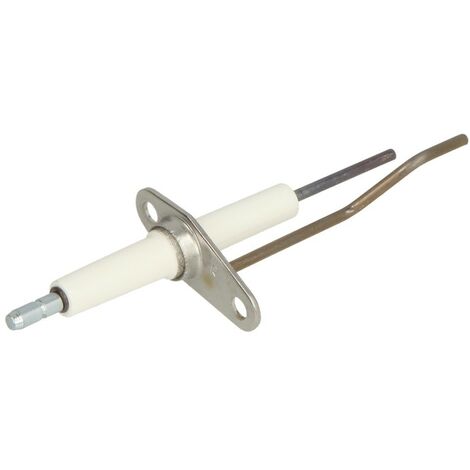 Elektrode d'ionisation