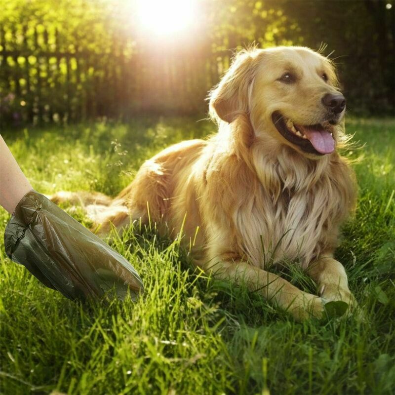 SR Sacco per escrementi di cane Sacchetti biodegradabili per escrementi  canini. 300 sacchetti per rifiuti canini, 20 rotoli, colore nero.