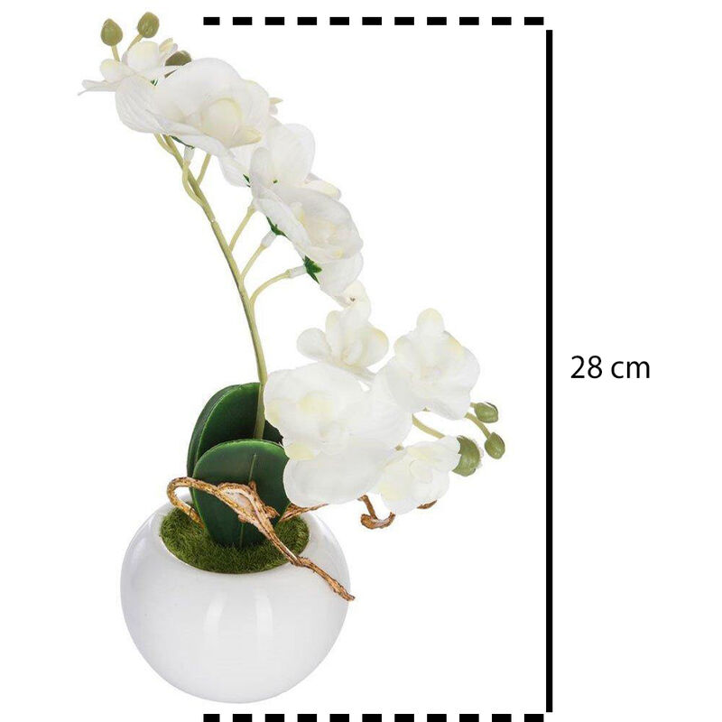 Orchidée Artificielle XXL PASCH® (56 Cm) Avec Pot Céramique - Décoration Réaliste Sans Entretien