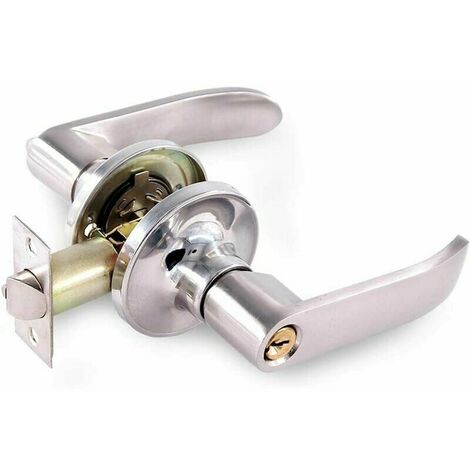 Door handle stainless steel rust anti-corrosion lock buckle shape ball lever lever handle (1/5)