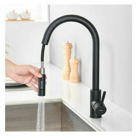 Kitchen Faucet with Pull-Out Spray Matte Black 360° Rotatable Stainless Steel Sink Kitchen Mixer Tap 2 Functions Kitchen Mixer Tap