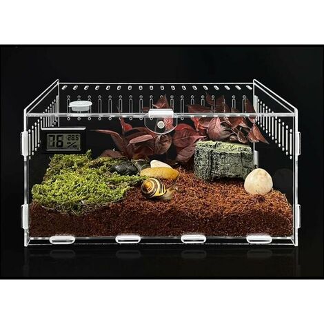 Insect Feeding Box,Reptile Habitat Transparent Breeding Box Breeding ...