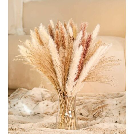 Pampas Grass Dried Pampas Decoration Natural Dried White Natural Dried Flowers