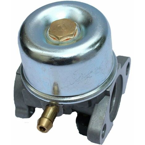 Carburetor for Briggs & Stratton 799868 498254 497347 497314 498170 ...