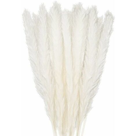 Dried Pampas Grass Decoration Set of 30, Decorative Flower Bouquet for Home Vase, Pampas Feather Grass 45cm Decorative Plant Decoration Table, Bedroom, Balcony, Wedding, Hotel, Beige(45cm)