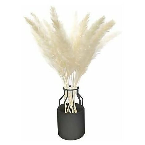 30 Pcs Artificial Flowers Natural Dried Small Pampas Grass Artificial Grass Reed Plume Phragmites Wedding Flower Bunch (White) (1/5)
