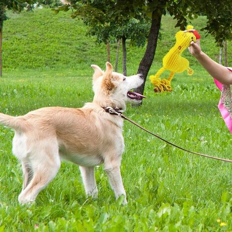 Plush Dog Toy, Dog Companion for Teeth Cleaning, Puppy Training