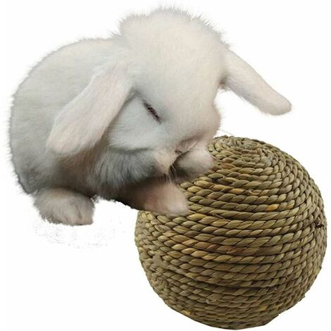 Boule d'herbe Naturelle pour Animaux de Compagnie à macher pour Jouets de Nettoyage des Dents pour Petit Chat Rongeur (1/2)