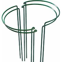 4 Pack Sturdy Metal Plant Support Garden Plant Cage Plant Stake for Tall Plants, Dahlias, Lilies, Fennel, Shrubs, Flower, Peonies, Hydrangea, Roses and More, 25x40cm