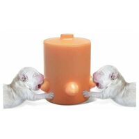 Silicone Puppy Milk Feeder, 5 Nipples Nursing Station Bowl Bionic Self-Feeding Device for Baby Pet/Puppy/Cat Dog