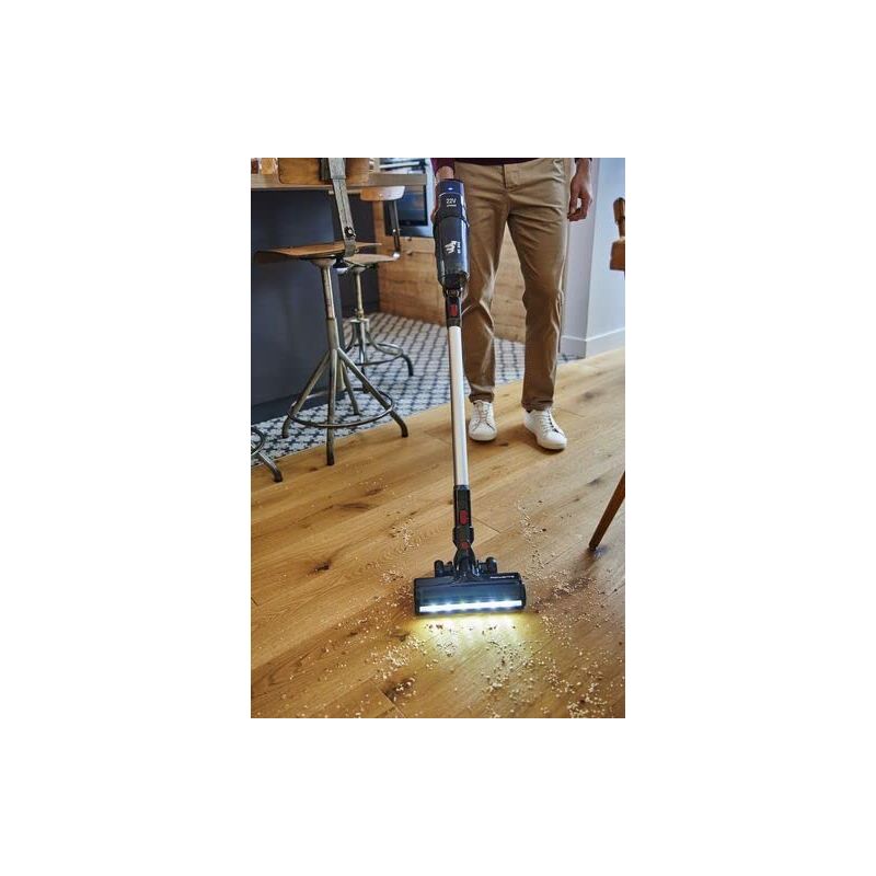 Filtre De Rechange Rowenta Pour Aspirateur X-Pert Easy 160 - Multicolore Lavable ZR005202